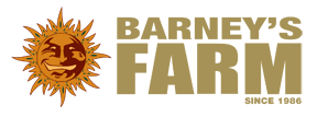 Barneys Farm Nasiona Konopi
